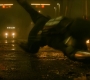 BlackWidow_1383.jpg