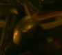 BlackWidow_1395.jpg