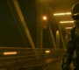 BlackWidow_1407.jpg