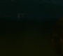 BlackWidow_1416.jpg