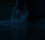 BlackWidow_1419.jpg