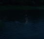 BlackWidow_1426.jpg