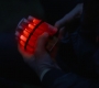 BlackWidow_1433.jpg
