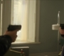 BlackWidow_1519.jpg
