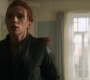 BlackWidow_1564.jpg