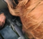 BlackWidow_1805.jpg