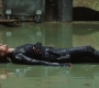 BlackWidow_1813.jpg