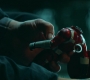 BlackWidow_2686.jpg