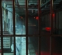 BlackWidow_2723.jpg