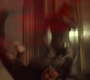 BlackWidow_5136.jpg