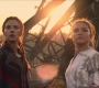 BlackWidow_5755.jpg