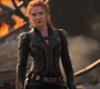 BlackWidow_5782.jpg
