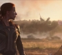 BlackWidow_5841.jpg