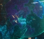 CaptainM_0305.jpg