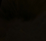 CaptainM_0398.jpg