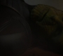 CaptainM_0485.jpg