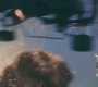 CaptainM_0620.jpg