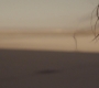CaptainM_0723.jpg