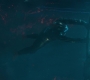 CaptainM_1027.jpg