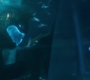 CaptainM_1031.jpg