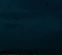 CaptainM_1115.jpg