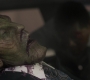 CaptainM_1677.jpg