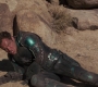 CaptainM_4874.jpg