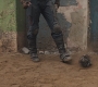 CW-00345.jpg