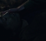 HOTN_0936.jpg