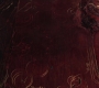 HOTN_0988.jpg