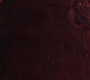 HOTN_0990.jpg
