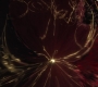 HOTN_0991.jpg