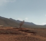 HOTN_1484.jpg