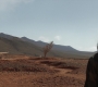 HOTN_1486.jpg