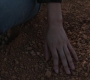 HOTN_1613.jpg