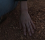 HOTN_1614.jpg