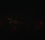 HOTN_1677.jpg