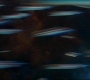 Filename=GOTG2-00497.jpg
Filesize=134KiB
Dimensions=1920x808
Date added=Oct 12, 2021 GOTG2-00497.jpg