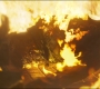 Filename=GOTG2-02066.jpg
Filesize=130KiB
Dimensions=1920x808
Date added=Oct 12, 2021 GOTG2-02066.jpg