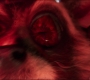 Filename=GOTG2-02500.jpg
Filesize=122KiB
Dimensions=1920x808
Date added=Oct 12, 2021 GOTG2-02500.jpg