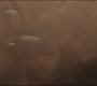 Filename=GOTG2-03231.jpg
Filesize=51KiB
Dimensions=1920x808
Date added=Oct 12, 2021 GOTG2-03231.jpg