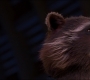 GOTG2-03741.jpg