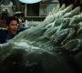 IncredibleHulk-02574.jpg
