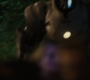 IM2-02959.jpg