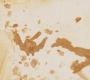 IM2-02990.jpg