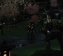 IM2-03177.jpg