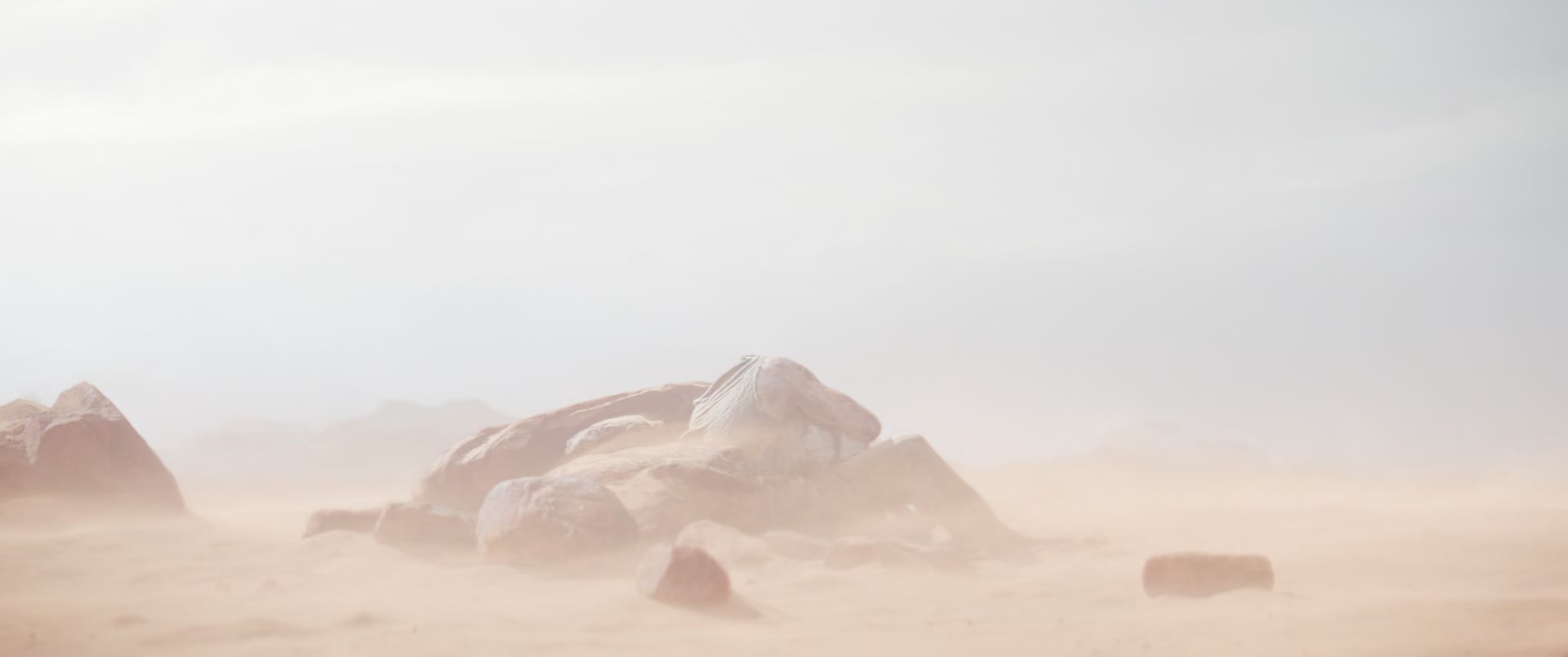 HOTN_0032.jpg