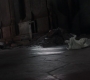 HOTN_2728.jpg