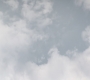 HOTN_2921.jpg