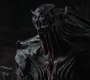 HOTN_2929.jpg